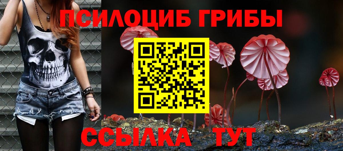 магазин    Галлюциногенные грибы Psilocybe  Псилоцибиновые грибы прущие грибы  Вход с VPN  Будённовск 