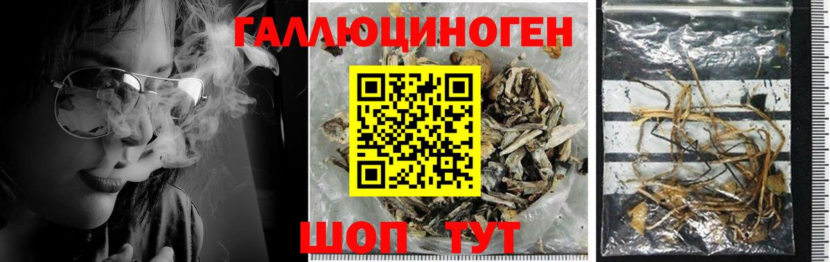 Псилоцибиновые грибы Magic Shrooms Будённовск